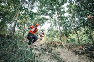 BIB: 
                            <button type="button" onclick="openModal(25978205)" class="btn btn-primary btn-sm float-right btn-popup" data-toggle="modal" data-target=".modal-high-quality">
                        <i class="fas fa-shopping-cart"></i> Add to Cart
                    </button>
                                            <button type="button" onclick="isThisMe(25978205, true)" class="btn btn-success btn-sm float-right btn-popup btn-isme hidden" data-toggle="tooltip" data-placement="bottom" title="นี่คือรูปของคุณใช่ไหม คลิกที่นี่เพื่อเอาเข้าอัลบั้ม">
                        <i class="fas fa-plus"></i> Add to album
                    </button>
                    <button type="button" onclick="isThisMe(25978205, false)" class="btn btn-warning btn-sm float-right btn-popup btn-isnotme hidden">
                        <i class="fas fa-ban"></i> Remove from album
                    </button>